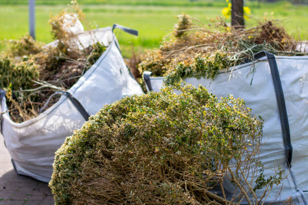 Best Estate Cleanout Services  in Cheswick, PA